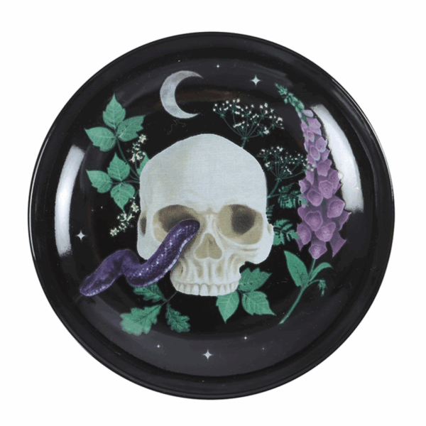Venom & Vines Skull Trinket Dish - Image 2